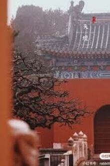 Ký Sự Sinh Tồn Ở Cung Đình