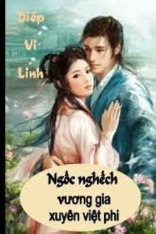 Ngốc Nghếch Vương Gia Xuyên Việt Phi