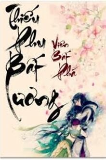 Thiếu Phu Bất Lương