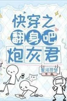 Xuyên Nhanh Chi Xoay Người Đi, Pháo Hôi Quân