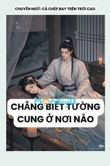 Chẳng Biết Tường Cung Ở Nơi Nào