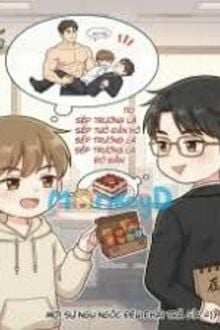 Cậu Trợ Lý Ngốc Nghếch Của Tôi