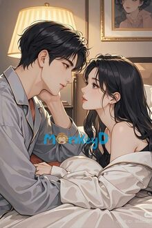 Sau Khi Xuyên Sách, Nam Phụ Yêu Ta