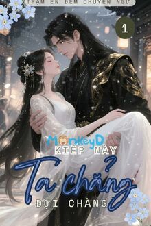 Từ Nay Ta Chẳng Đợi Chàng Nữa