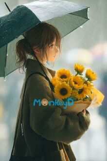 Chỉ Là Một Người Bạn Bình Thường