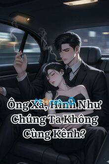 Ông Xã, Hình Như Chúng Ta Không Cùng Kênh?