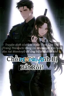 Chồng Cũ, Anh Bị Bắt Rồi!