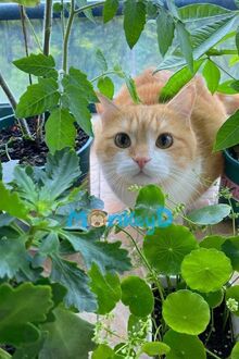 Kịch Bản Này Sai Rồi, Tôi Mới Là Nữ Chính!